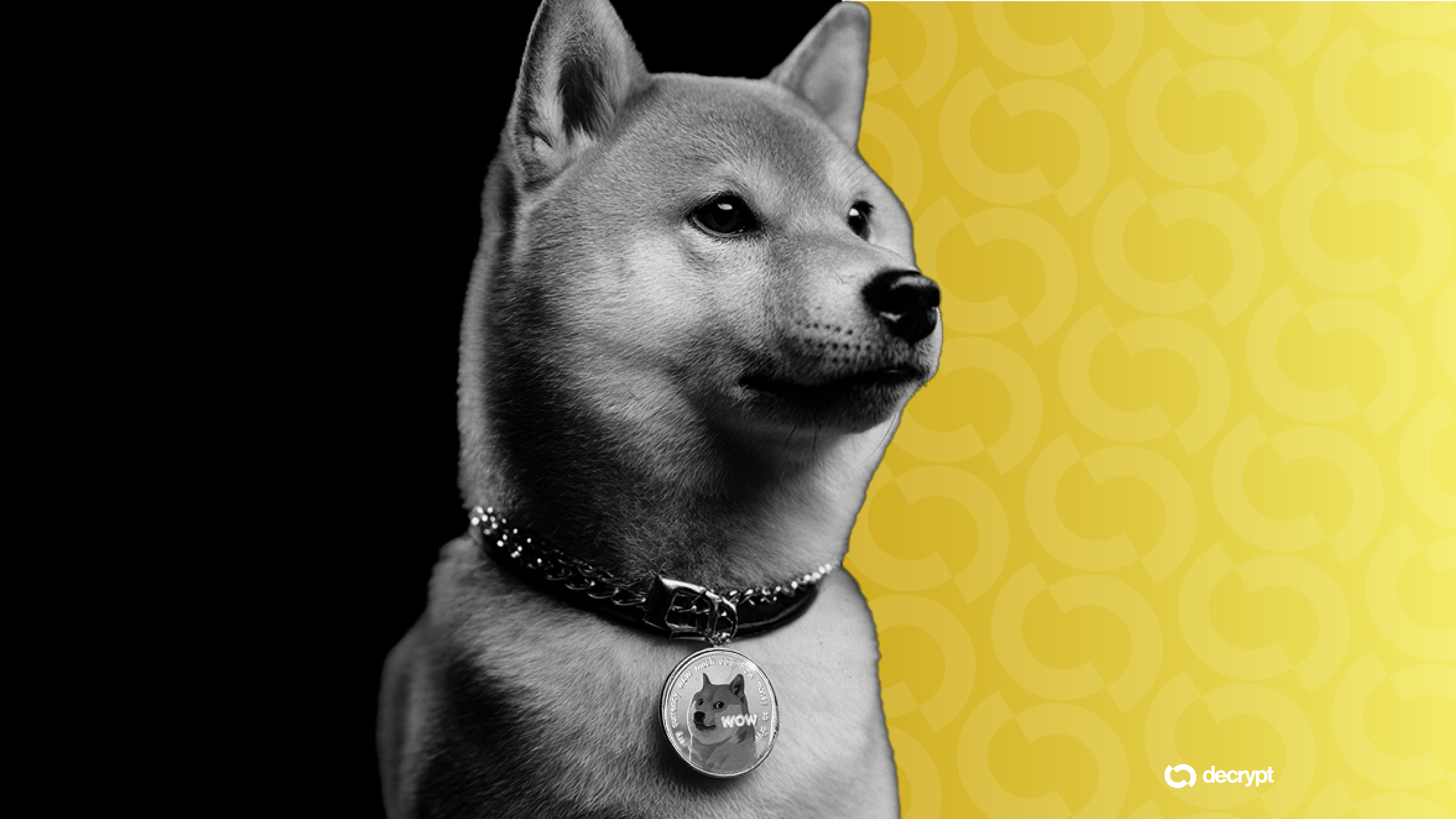 Dogecoin Is About to Get a Flood of Games Via DogeOS and PlaysOut