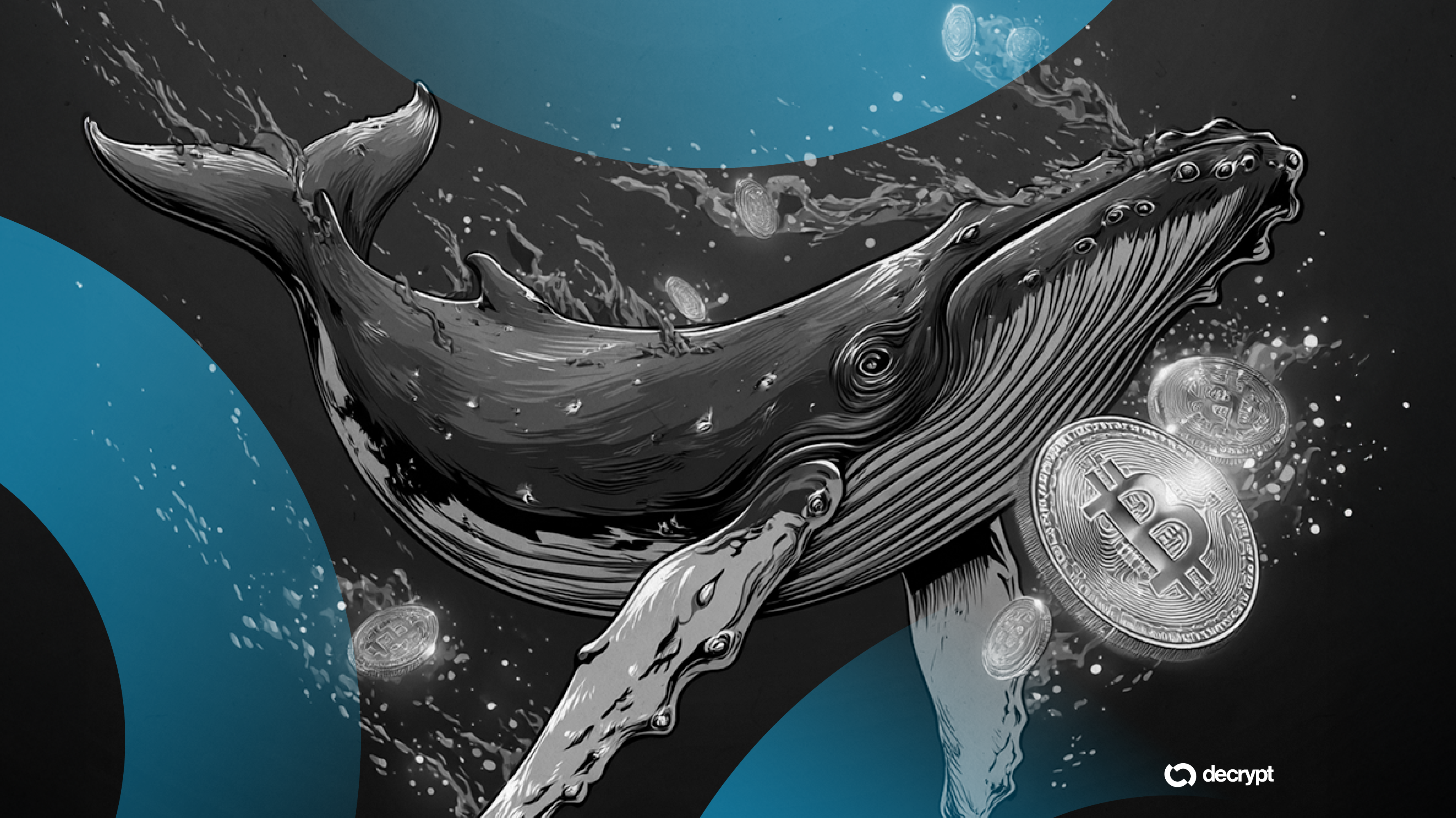 Mysterious Bitcoin Whale Moves $8 Billion in 'Largest Daily' Transfer of Old BTC in History