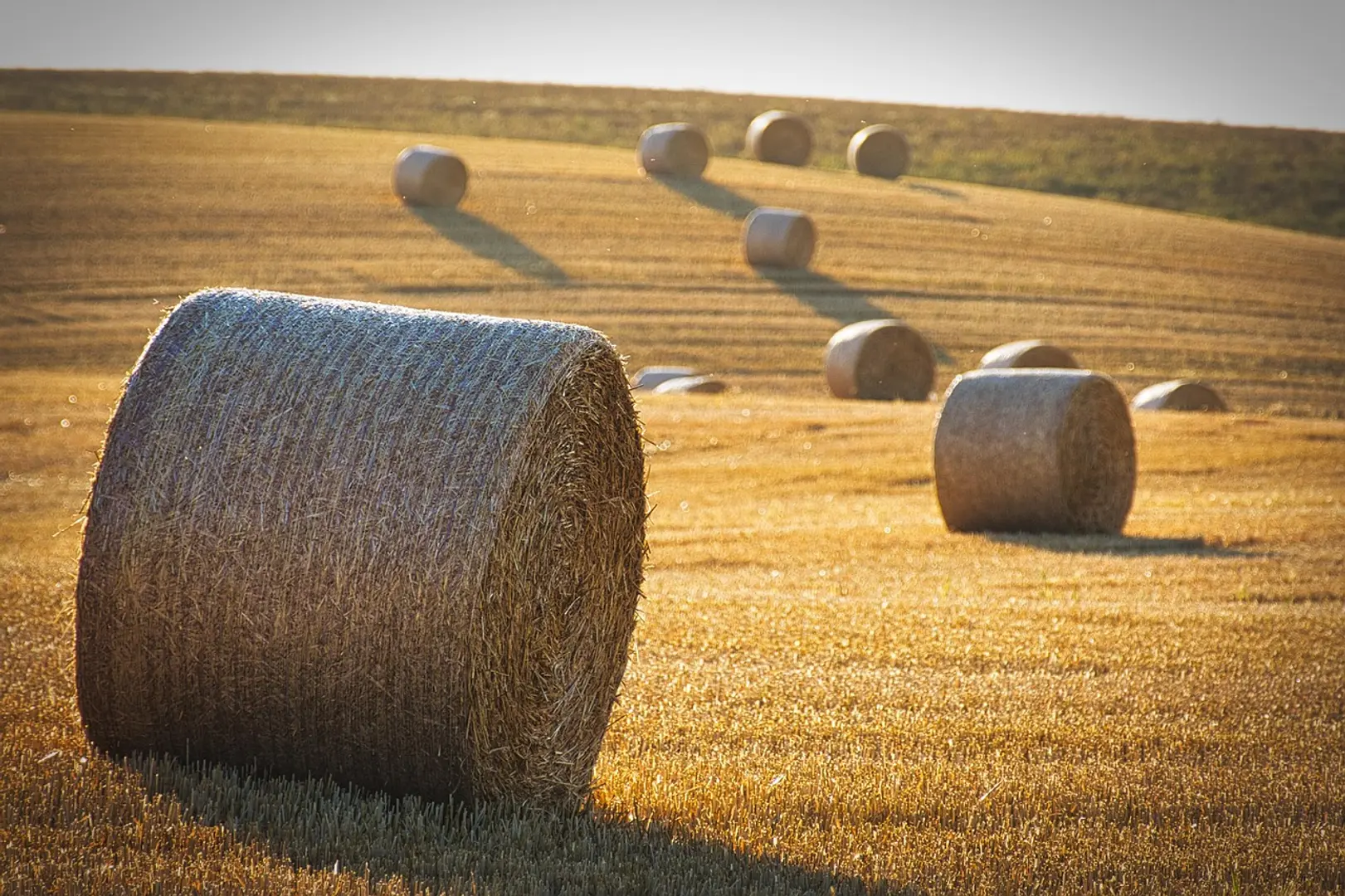 Solv Protocol Introduces Automated Yield Generation for Bitcoin Holders